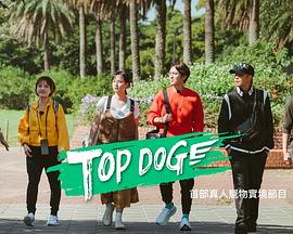 海角社区《TOP DOG》免费在线观看