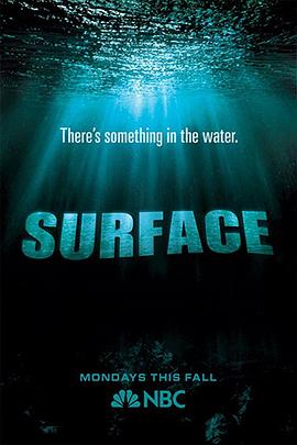 海角社区《水下之秘 Surface》免费在线观看