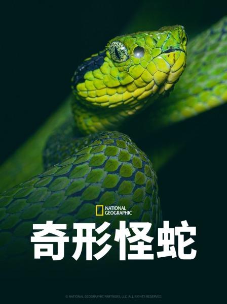 海角社区app《奇形怪蛇》免费在线观看